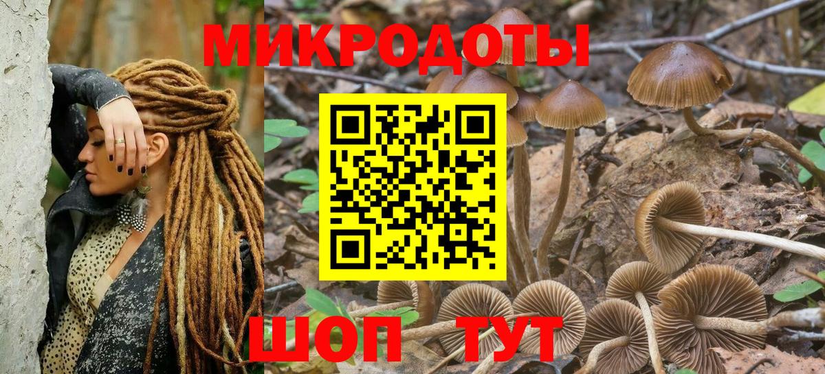 Псилоцибиновые грибы прущие грибы Щёлково